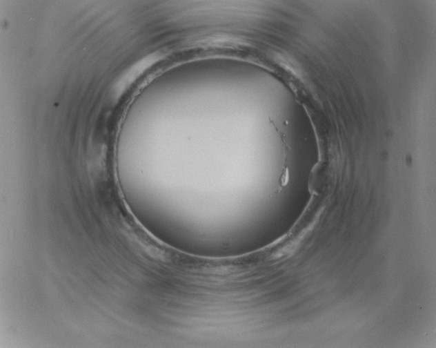 X0000060751066200511241657