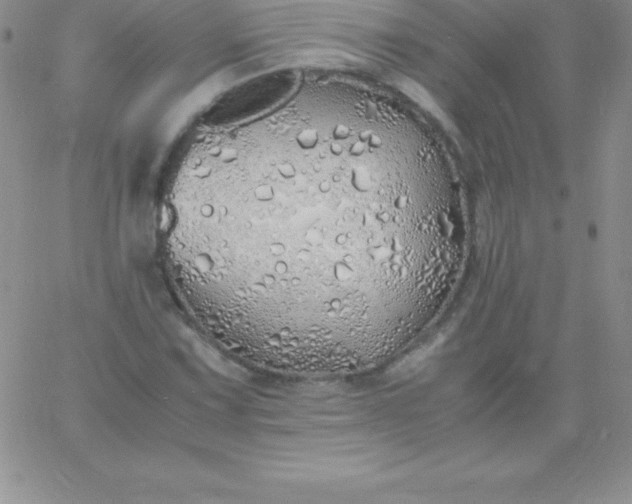 X0000060751067200511241657