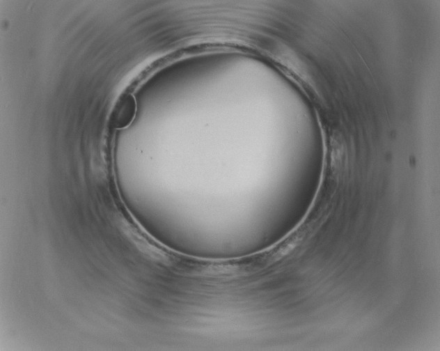 X0000060751068200511241657