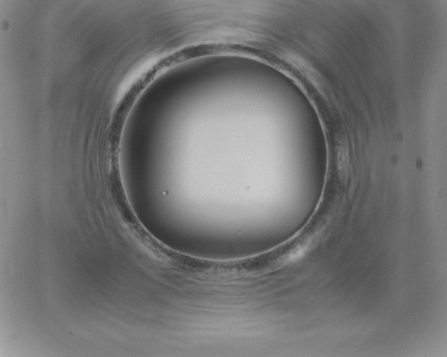 X0000060751069200511241657