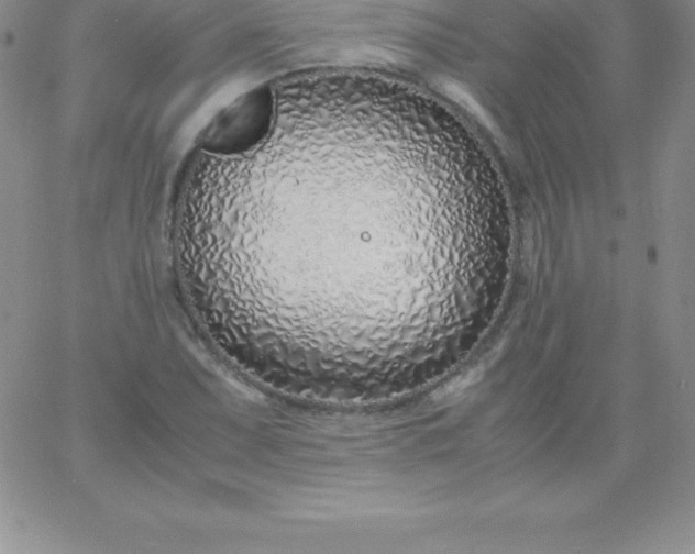 X0000060751071200511241657