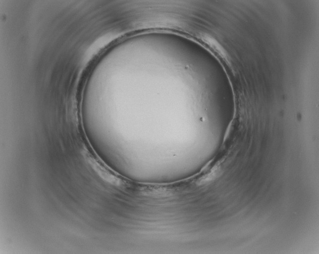 X0000060751072200511241657