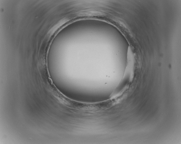 X0000060751073200511241657