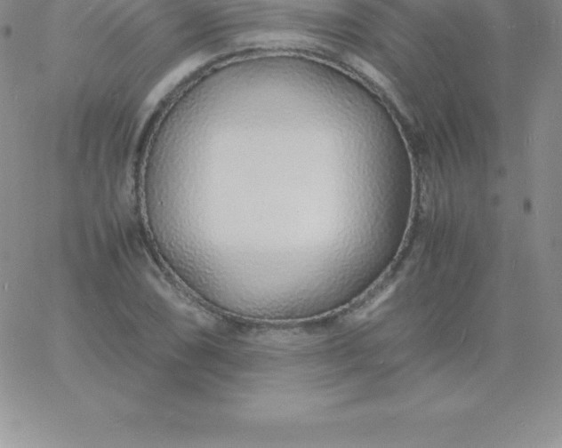 X0000060751074200511241657