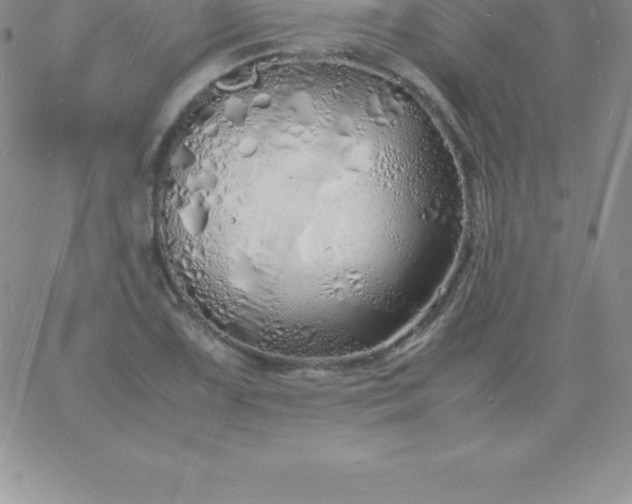 X0000060751075200511241657