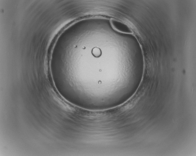 X0000060751076200511241657