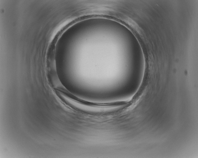 X0000060751077200511241657