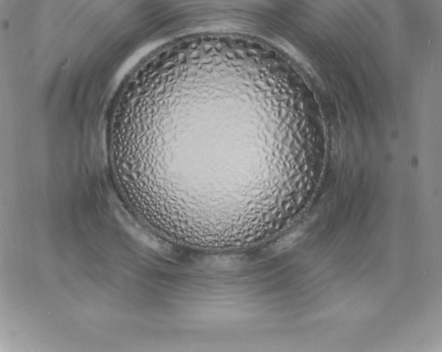 X0000060751078200511241657