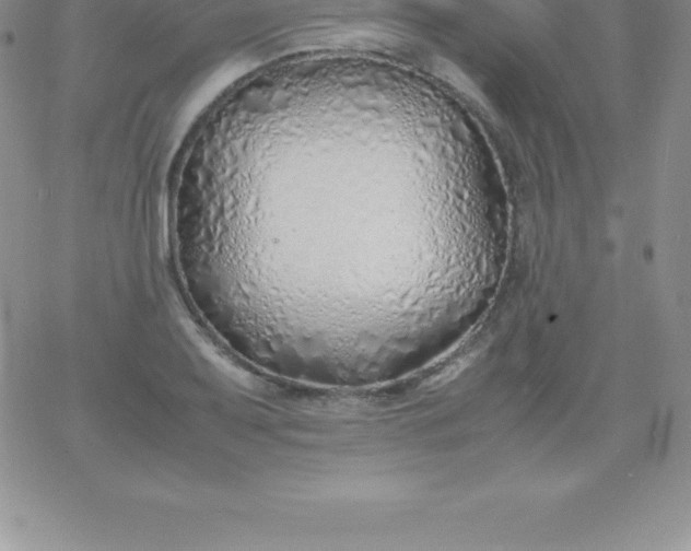 X0000060751079200511241657