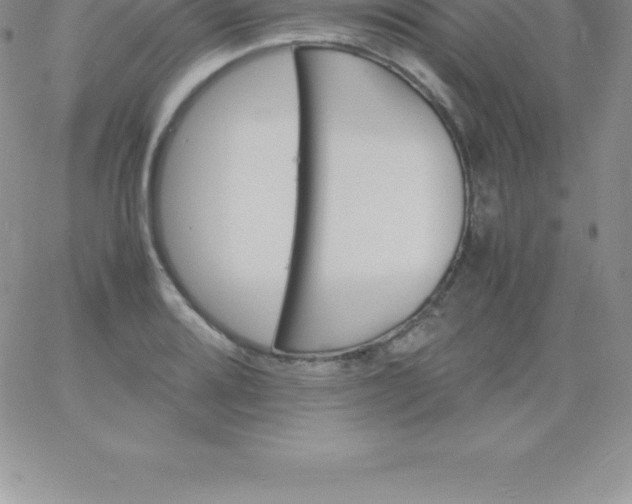 X0000060751080200511241657