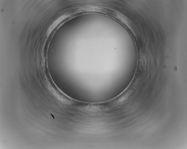 X0000060751082200511241657