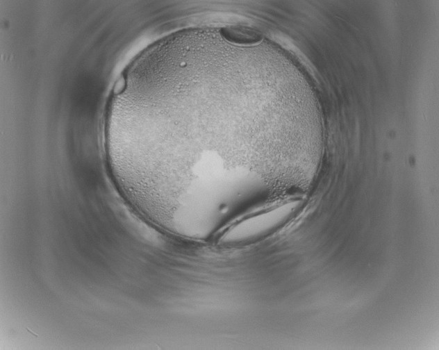 X0000060751083200511241657