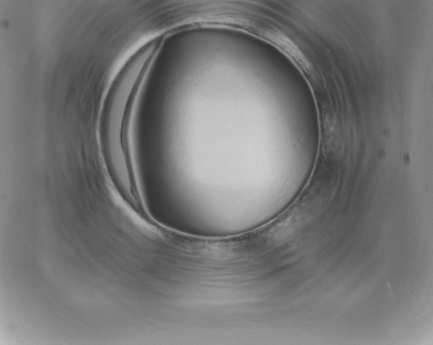 X0000060751084200511241657