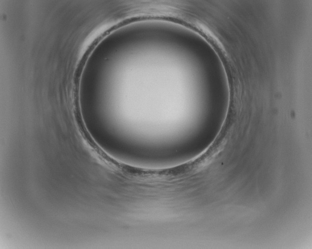 X0000060751085200511241657