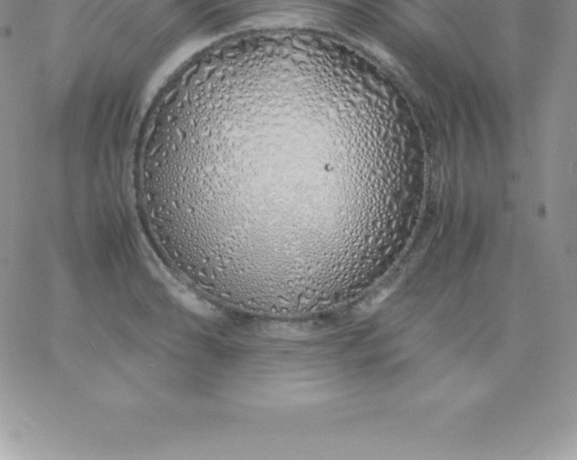 X0000060751086200511241657