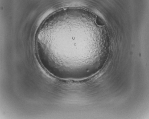 X0000060751087200511241657