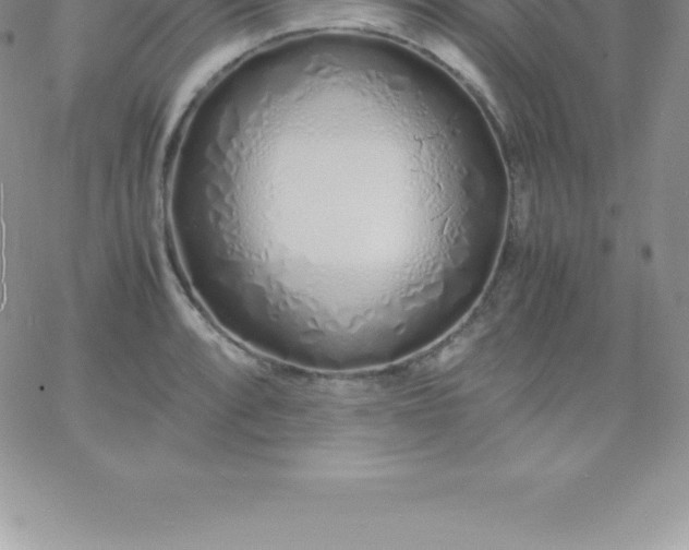 X0000060751088200511241657