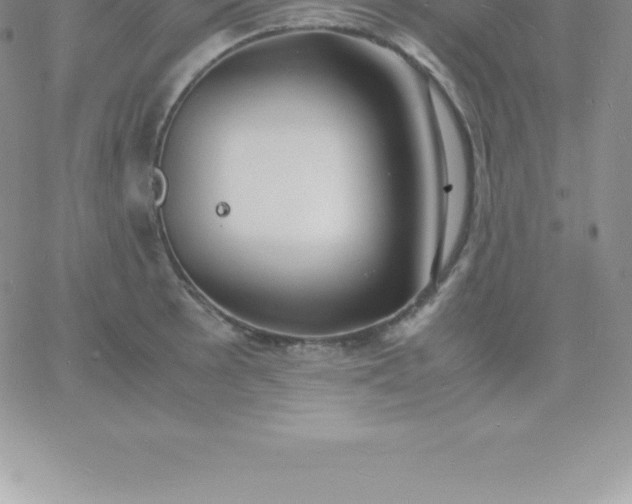 X0000060751089200511241657