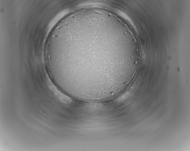 X0000060751090200511241657