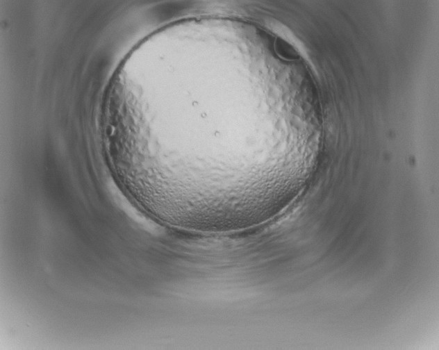 X0000060751091200511241657