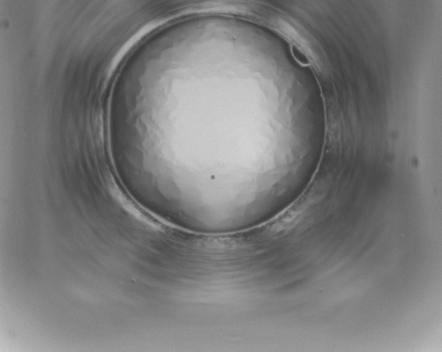 X0000060751092200511241657