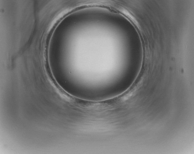 X0000060751093200511241657