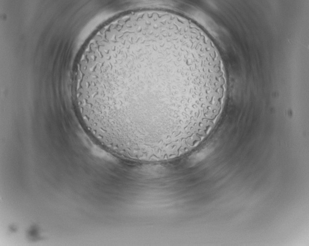 X0000060751094200511241657