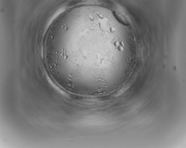 X0000060751095200511241657