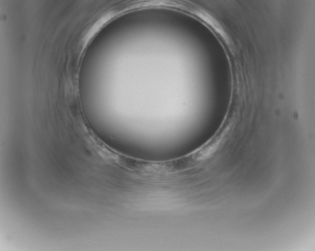 X0000060751097200511241657