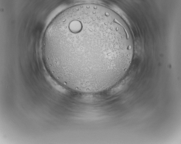 X0000060751098200511241657