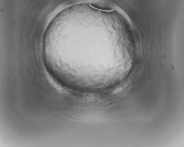 X0000060751099200511241657