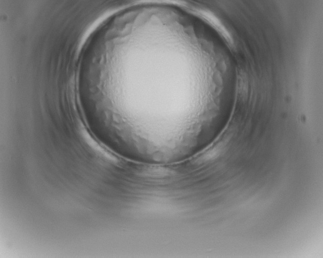 X0000060751100200511241657