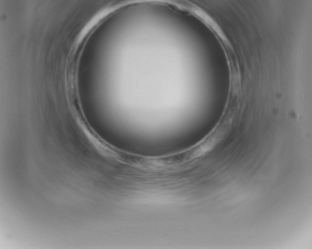 X0000060751101200511241657