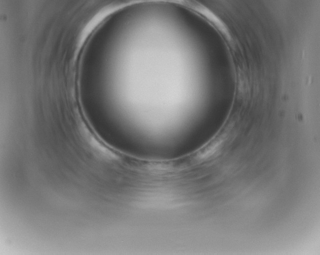 X0000060751102200511241657