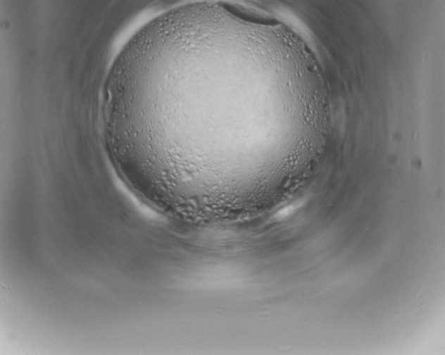 X0000060751103200511241657