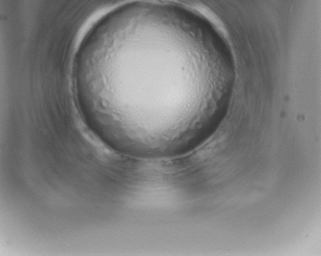 X0000060751104200511241657