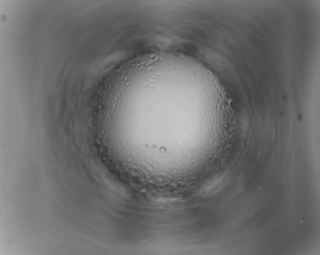 X0000060751105200511241656