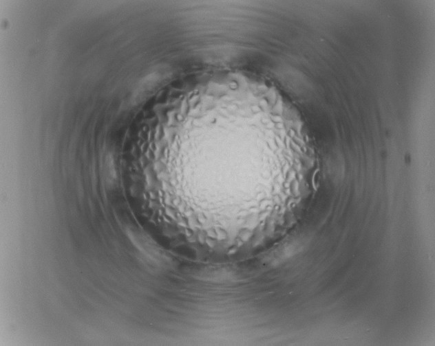 X0000060751106200511241656