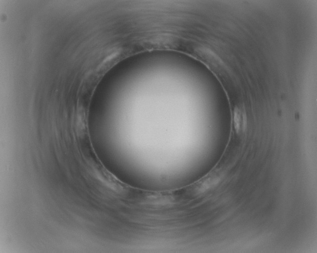 X0000060751107200511241656