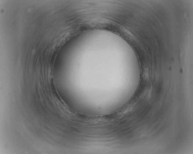 X0000060751108200511241656