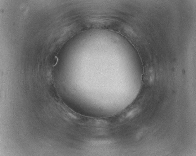 X0000060751109200511241656