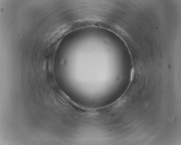 X0000060751110200511241656