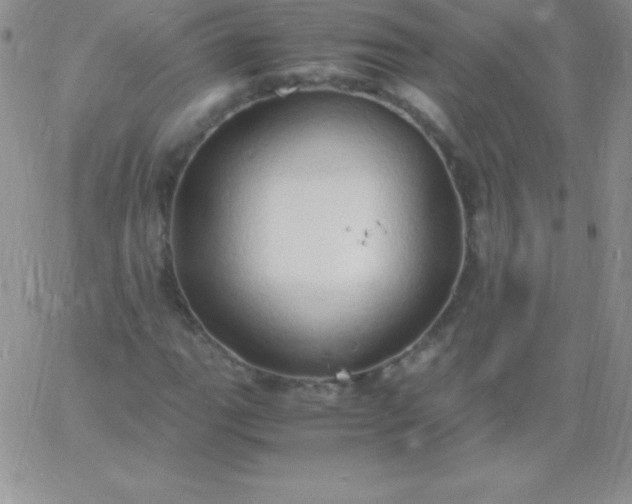 X0000060751111200511241656