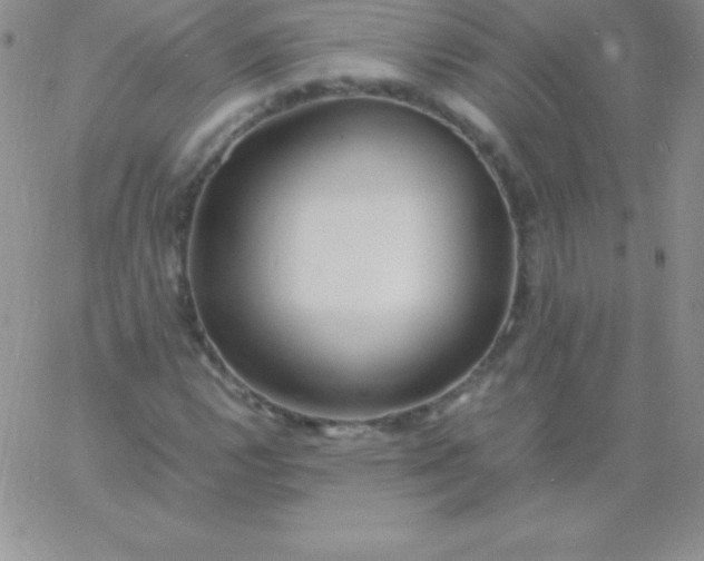 X0000060751112200511241656