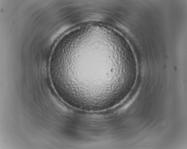 X0000060751113200511241656