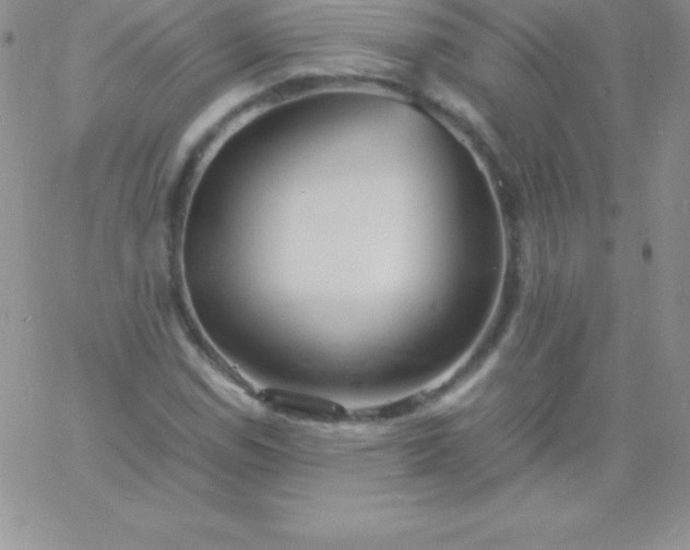 X0000060751114200511241656