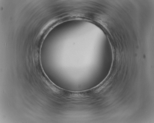 X0000060751115200511241656