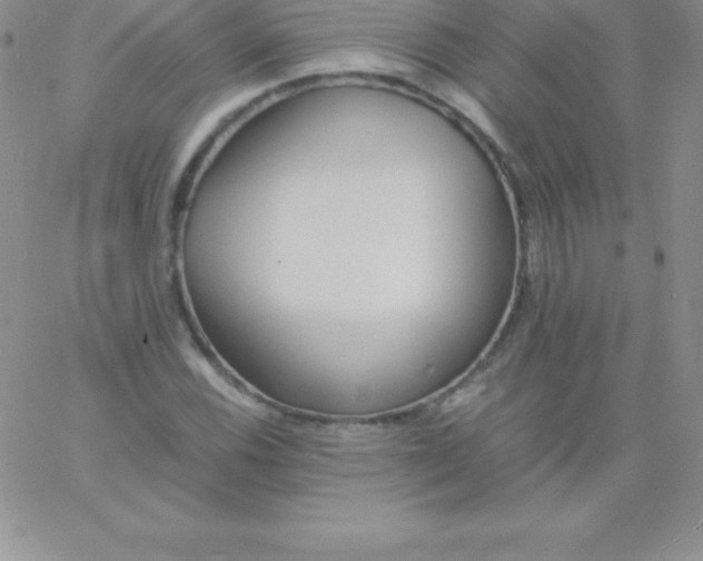 X0000060751116200511241656