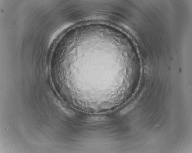 X0000060751117200511241656