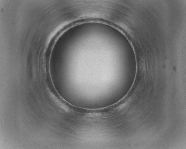 X0000060751118200511241656